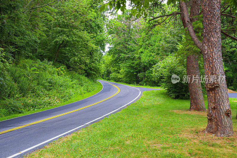 Shenandoah Skyline Drive